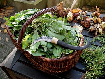 Herbstaktivitäten