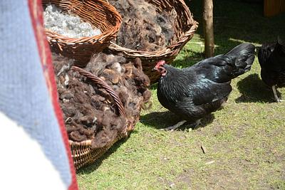 Archeon 2019