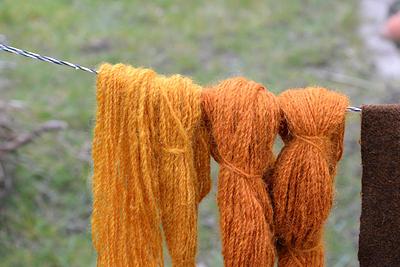 Dyeing with yellow onion skin